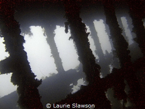 Wreck of the S.S. Nordby in Huahine, French Polynesia. by Laurie Slawson 